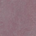 /products/3272-plum-real/